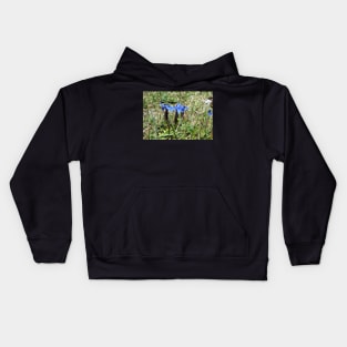 Spring Gentian in the Burren, Co. Clare, Ireland Kids Hoodie